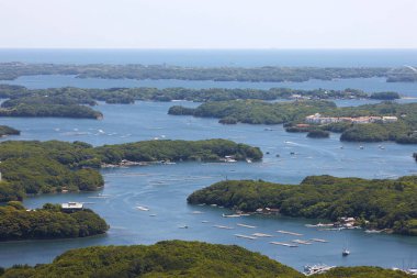 Bir yaz gününde güzel nehir manzarası ve yeşil ağaçlar.