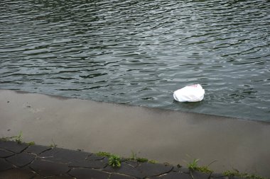Beton nehir kenarına yakın yüzen beyaz plastik çanta.