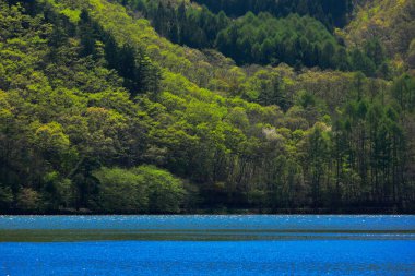 Güneşli bir günde nehir ve dağların manzarası 
