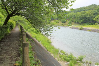 Japonya 'daki nehir dağlarda doğa arka planında.