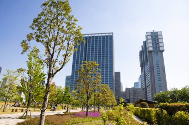 Güneşli bir günde modern şehrin mimarisi