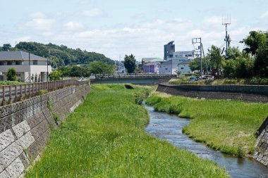 Yeşil Park 'ta nehir üzerindeki köprü.