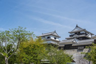 Güzel Japon tapınağı, Budizm konsepti