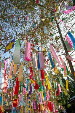 Dilek ağacına asılı küçük kağıt parçaları