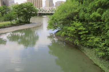 Parktaki nehrin güzel manzarası 