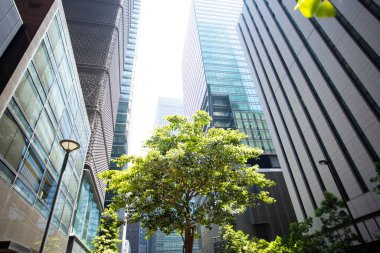 Japonya 'daki modern yüksek binalar