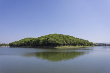 Yeşil yemyeşil bitki örtüsüyle kaplı büyük nehir ve ada manzarası 