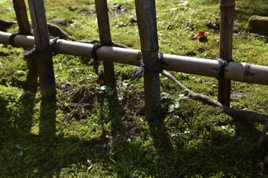 Bambu çitler, güneş ışığı gölgeleri altında yeşil çimlerin üzerinde duruyor.