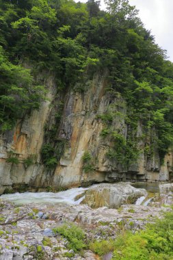 Dağlık bir nehrin akıntılarıyla güzel bir manzara.