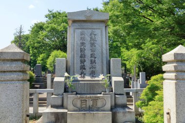 Japonya, Asya 'daki ikonik Japon tapınağı