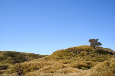 Çimenli tepe ve mavi gökyüzü ile güzel manzara 
