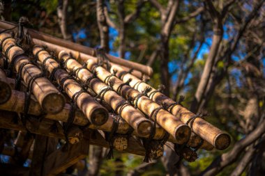 Yapraklı ağaçlar arasında geleneksel bambu çatı yapısını gösteren yakın plan
