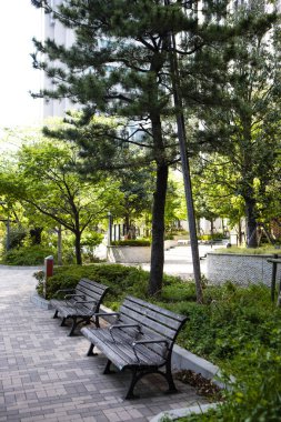 Şehir manzarası arka plan görüntüsü, şehir konsepti 