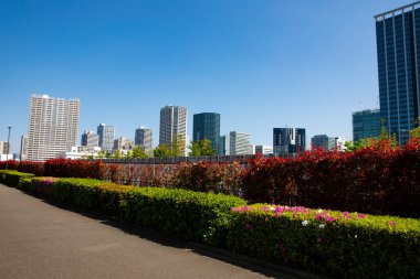 Güneşli bir günde modern şehrin mimarisi