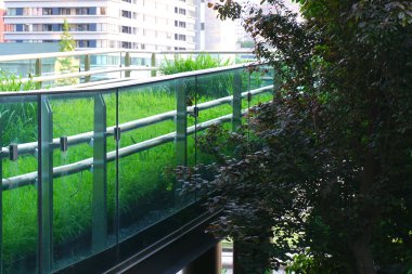 Modern binanın balkonunda yeşil bitkiler