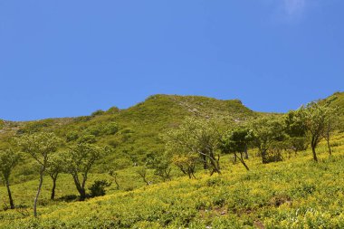 Dağların güzel manzarası