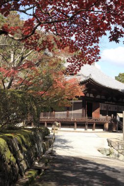 Güzel Japon tapınağı, Budizm konsepti