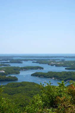 Bir yaz gününde güzel nehir manzarası ve yeşil ağaçlar.