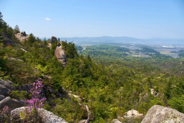 Dağın tepesinden manzara 