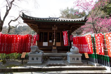 Güzel Japon tapınağı, Budizm konsepti