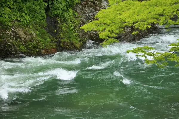 山の川の強姦と美しい風景 — ストック写真