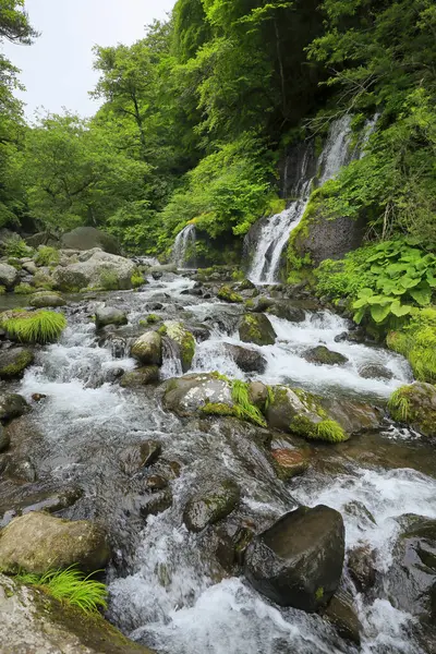Japonya Daki Ormanda Güzel Bir Şelale — Stok fotoğraf