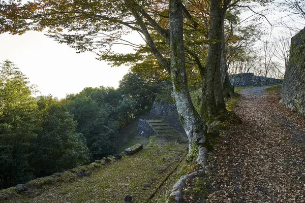 Blick Auf Bäume Und Wege Herbstpark — Stockfoto