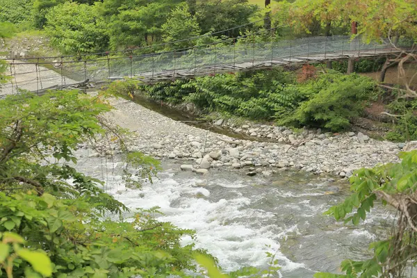 自然を背景にした山の日本川 — ストック写真