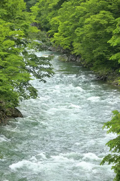 山の輝く川の美しい景色 — ストック写真