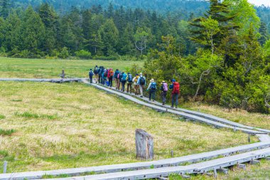 Yeşil dağlarda yürüyüş yapan turistler