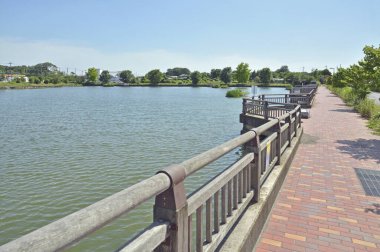 Güneşli göl yolu, ahşap korkuluklar ve tuğla patikalarla kaplı.
