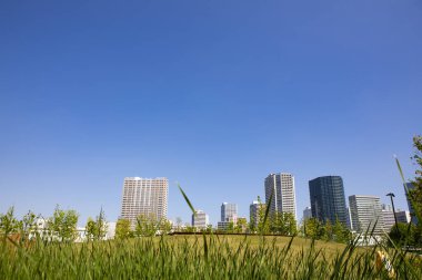 Şehir parkındaki yeşil çimlerin manzarası ve modern mimari güneşli bir günde gökyüzü. 