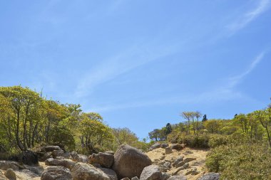 Dağların taşlı manzarası 