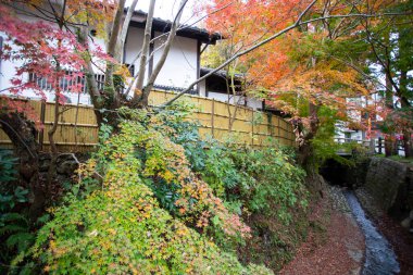 Sonbahar yapraklarıyla çevrili geleneksel bir ev