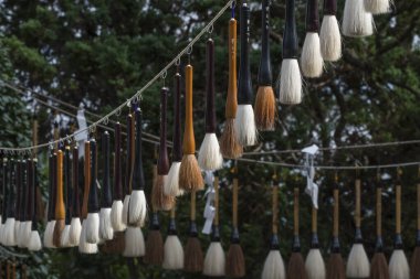 Çeşit çeşit fırçalar dışarıda, güneş ışığında sallanıyor.