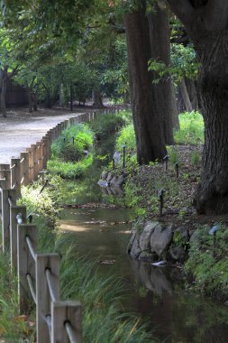 Parkta nehri olan güzel bir manzara.
