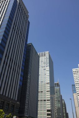 Güneşli bir günde şehrin gökdelenlerinin manzarası. Modern şehir mimarisi