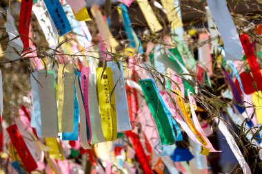 Tanzaku 'ya dilek yazılı küçük kağıt parçaları.
