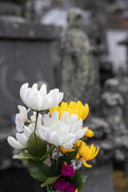 Mezarlıktaki beyaz ve sarı kasımpatı çiçeklerinin yakın plan çekimi.