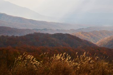 Günbatımında dağların güzel sonbahar manzarası 