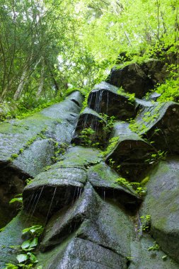  Japonya 'da ormandaki güzel bir şelalede kayalar.