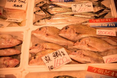 Japonya 'da satılık çeşitli balıklar var.