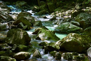 basamaklı şelale orman