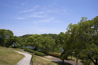 Mavi gökyüzü ve ağaçlarla gölün manzarası 