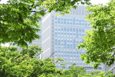 Yeşil ağaçlar ve yapraklarla çevrili modern bir bina.