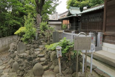 Güzel Japon tapınağı, Budizm konsepti