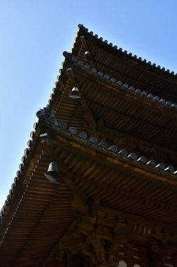 Güzel Japon tapınağı, Budizm konsepti