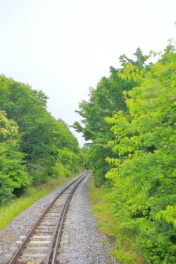 Demiryolu taşra, demiryolu taşımacılığı