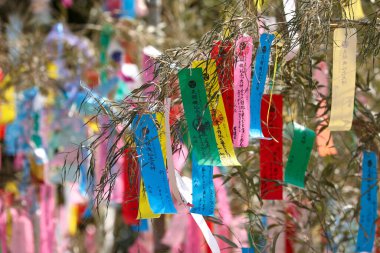 Tanzaku 'ya dilek yazılı küçük kağıt parçaları.
