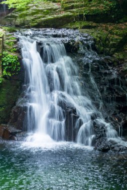 Ormanda, doğa arka planında güzel bir şelale